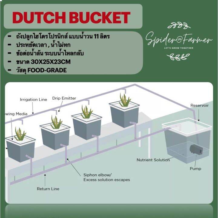 ready-stock-11ลิตร-hydroponics-dutch-bucket-system-bato-bucket-aeroponics-ถังปลูกไฮโดรโปรนิกส์-กระถางปลูกผัก-ปลูกเมล่อนมีบริการเก็บเงินปลายทาง