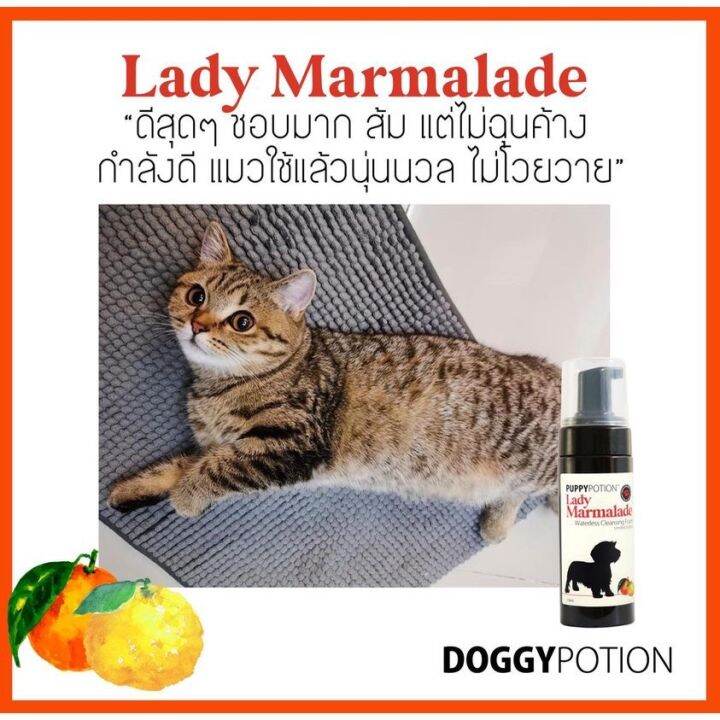 puppy-potion-lady-marmalade-waterless-cleansing-foam-150ml