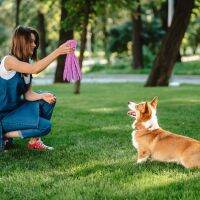 Octopus Dog Squeaky ของเล่น Crinkle กระดาษ Plush Dog Chew ของเล่นลูกสุนัข Teething ของเล่นสำหรับการฝึกอบรมและความบันเทิง Xqmg