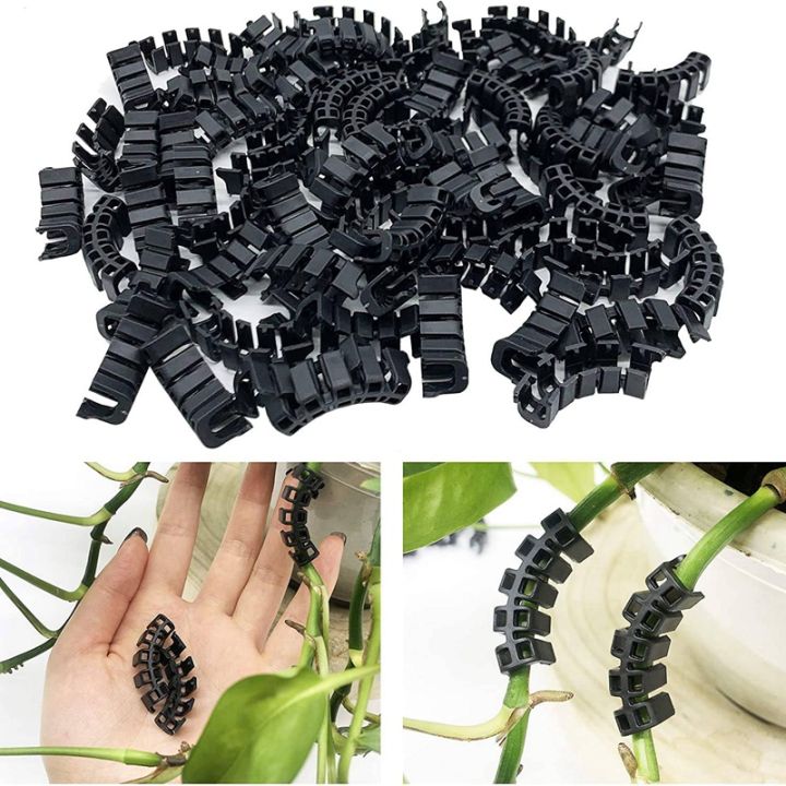 100pcs-plant-benders-for-low-stress-training-plant-training-clips-plant-supports-control-the-growth-of-plants