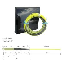 Aventik Fly Fishing Line 3 Colored WindCutter Fly Line Switch Single Hand Spey Fly Line Ultra Low Stretch Welded Loops