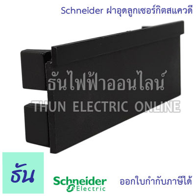 Schneider ฝาอุดลูกเซอร์กิตสแควดี FILLER  PLATE แผ่นปิดตู้ แผ่นปิด ช่องว่าง ฝาอุด สีดำ สำหรับ ตู้คอนซูมเมอร์ ฝาปิด ธันไฟฟ้า