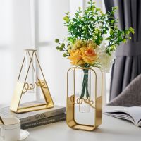 Nordic Desktop Metal Flower Vases Glass Living Home Room Dining Table Hydroponic Decorative Bottle Flowers Plant Pot Ornament