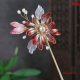 Shipiaoya กิ๊บติดผมย้อนยุคไข่มุกเทียมคริสตัลคลิปติดผมรูปดอกไม้แฟนซียาวเครื่องประดับผมเจ้าสาวจีน