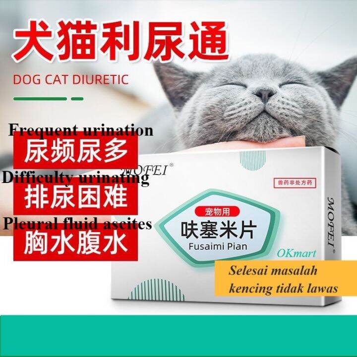 Cats & Dogs Urinary tract infection system Kencing tidak lawas ...