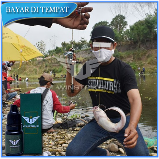 Jimat Buat Mancing Ikan Lele Umpan Obat Buat Mancing Ikan Lele Galatama