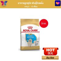 Royal Canin Golden Retriever Puppy 3kg อาหารเม็ดลูกสุนัข พันธุ์โกลเด้น รีทรีฟเวอร์ อายุต่ำกว่า 15 เดือน (Dry Dog Food, โรยัล คานิน)