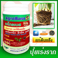 ปุ๋ยเร่งราก แก้ดินแข็ง ด้วย ปุ๋ยออร์แกนิก ฮิวมิคแอซิด AgroBase ขนาด 500g สามารถใช้กับเกษตรอินทรีย์ได้ ปลอดภัยสำหรับเกษตรอินทรีย์ ปลอดภัย