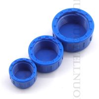 2pc PVC Female Thread Connectors PT Thread PVC End Cap Garden Irrigation Pipe Fittings PVC Pipe Plug Water Tube Joint