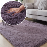 Modern Living Room Carpet Home Decor Nordic Fluffy Floor Bedside Mats Kid Bedroom Thick Warm Carpets Soft Shag Rugs
