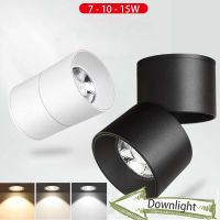 LED Downlights Spot Light 220V Led Spotlights Lamp W Down Light Surface Mount Ceiling Kitchen Home Indoor Lighting