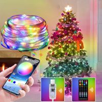 ZZOOI 2/5/10/15/20M USB RGB LED String Lights Christmas Garland Light Waterproof Fairy Lights For Christmas Wedding Party Decoration