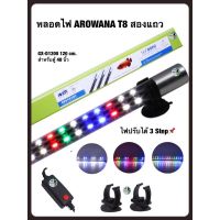 ( Pro+++ ) สุดคุ้ม Roxin LED Lamp หลอดไฟ LED Arowana GX-D1200 120cm. สำหรับตู้ขนาด 48 นิ้วใช้สำหรับตู้ปลามังกร บ่อปลา ตู้ปลา หลอด LED ราคาคุ้มค่า หลอด ไฟ หลอดไฟตกแต่ง หลอดไฟบ้าน หลอดไฟพลังแดด