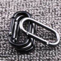 5Pcs Oval Clip Hooks Metal Hanging Buckle Keyring Keychain Camping Carabiners for Hiking Fishing