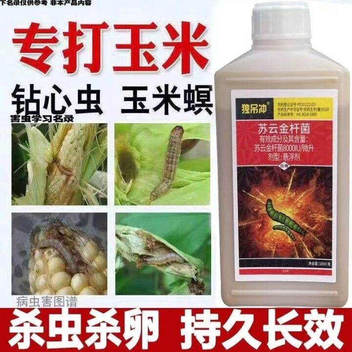 Bacillus thuringiensis corn insecticides borer corn borer diamondback