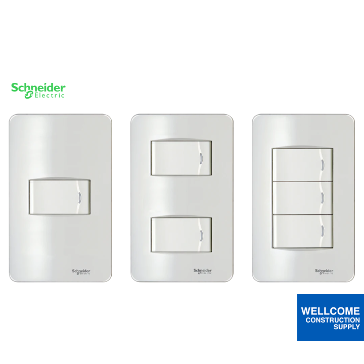 Schneider Concept Series Switch Sets Lazada PH