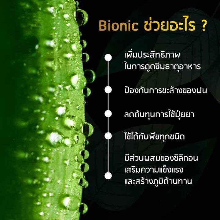 สารจับใบ-ไบโอนิก-สูตรเข้มข้น-แพค-2-ลิตร-ส่งฟรี