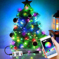 Bluetooth-compatible APP USB SK6812 IC LED String Light Christmas Tree Lights WS2812B RGB Full Color Addressable Individually 5V