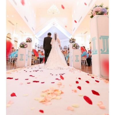 100 PCS Silk Cloth Artificial Flower Rose als ~For Wedding Anniversary Propose Decoration