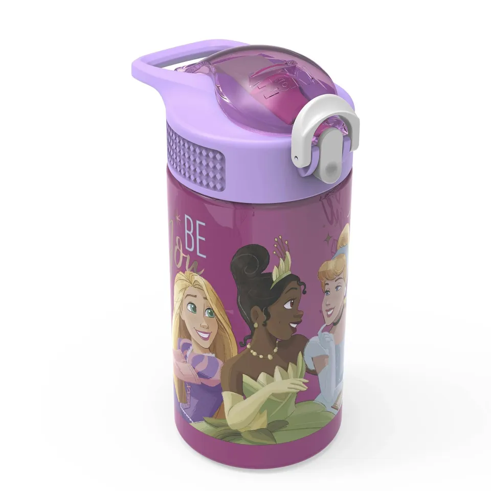 Zak Designs 20oz Stainless Steel Kids' Water Bottle with Antimicrobial Spout 'Disney Princess