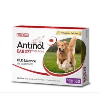 Antinol Dog อาหารเสริมบำรุงข้อสำหรับสุนัข  บรรจุ 60 caps / 1 กล่อง