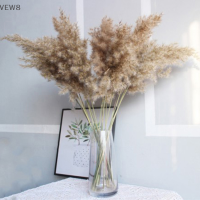 VEW8 【Yunyoshan】5PCS 80ซม.ธรรมชาติดอกไม้แห้งใหญ่ Pampas Grass ของตกแต่งดอกไม้แต่งงาน