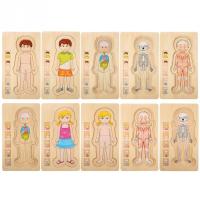 Wooden Human Body Puzzle Toys Boys Girls Body Structure Wooden Multi-layer Puzzles Early Educational Toys For Children Kids