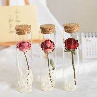 Gypsophila dried flower rose test tube plant specimen wishing bottle living room decoration for girlfriends teachers day gift