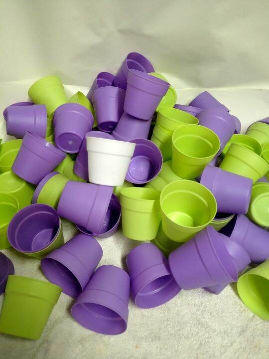 Small pots for succulents good quality 12 pcs Lazada PH