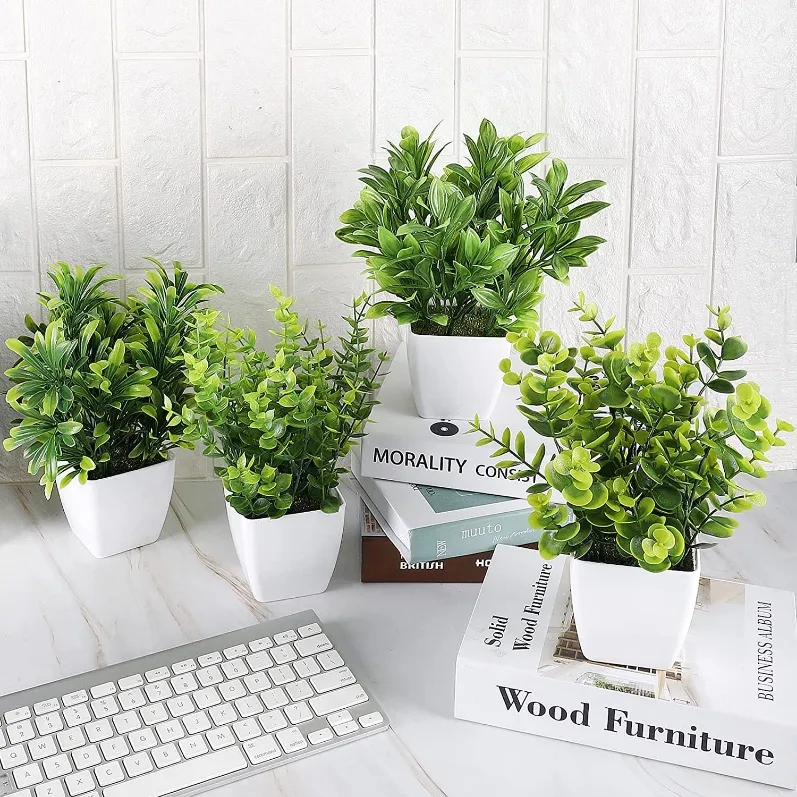 Desk Plants desk plant decor Ideas for Your Office Space