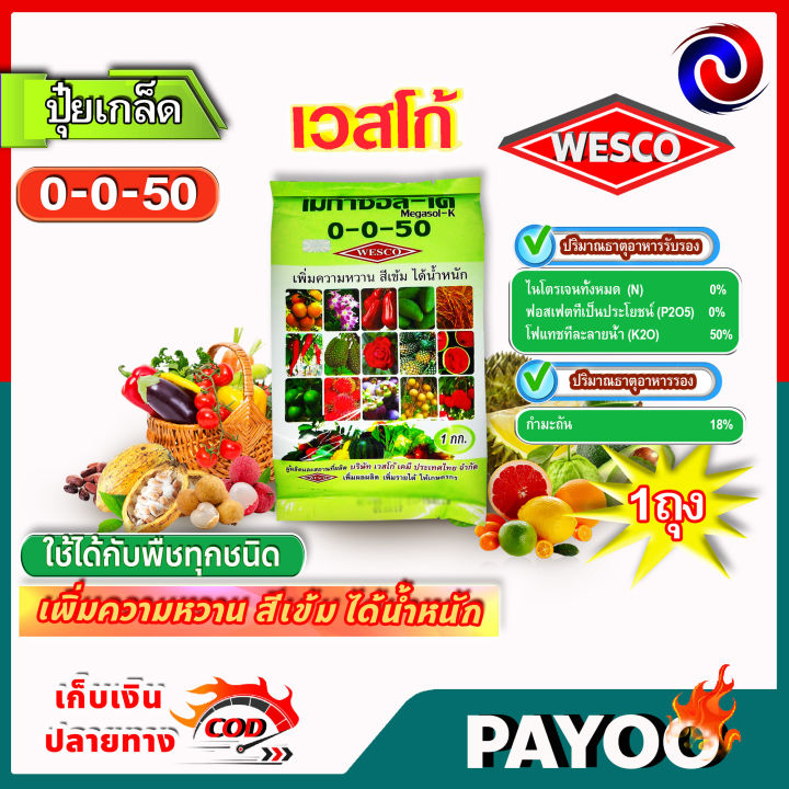 บรรจุ-1-กิโลกรัม-wesco-ปุ๋ย-0-0-50-s-กำมะถัน-ปุ๋ยเกล็ด-ปุ๋ยเกร็ด-เวสโก้-เพิ่มความหวาน-สีเข้ม-ได้น้ำหนัก