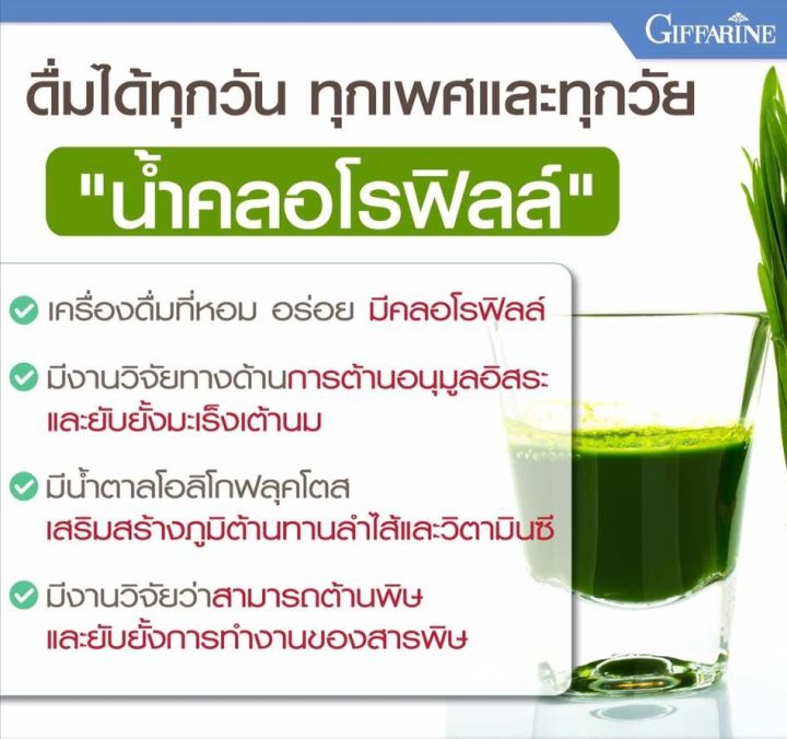 คลอโรฟิลล์-กิฟฟารีน-ของแท้-ส่งฟรี-chlorophyll-คลอโรฟิลล์ซีโอ-กลิ่นแอปเปิ้ล-เครื่องดื่ม-มีหลายรุ่นให้เลือก-ส่งฟรี-ส่งเร็ว