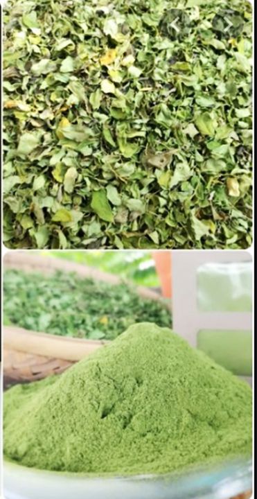 มะรุมผง-ใบมะรุมบดผง-สมุนไพรผงใบมะรุมธรรมชาติ-100-moringa-leaf-powder-ใบมะรุมบดผงบริสุทธิ์ไม่มีผสม-500-กรัม