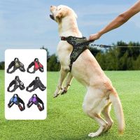 Mesh Big Large Dog Harness Collar Set Adjustable Pet Harnesses Vest No Pull Designer Training Chest Strap Leash Lead Product