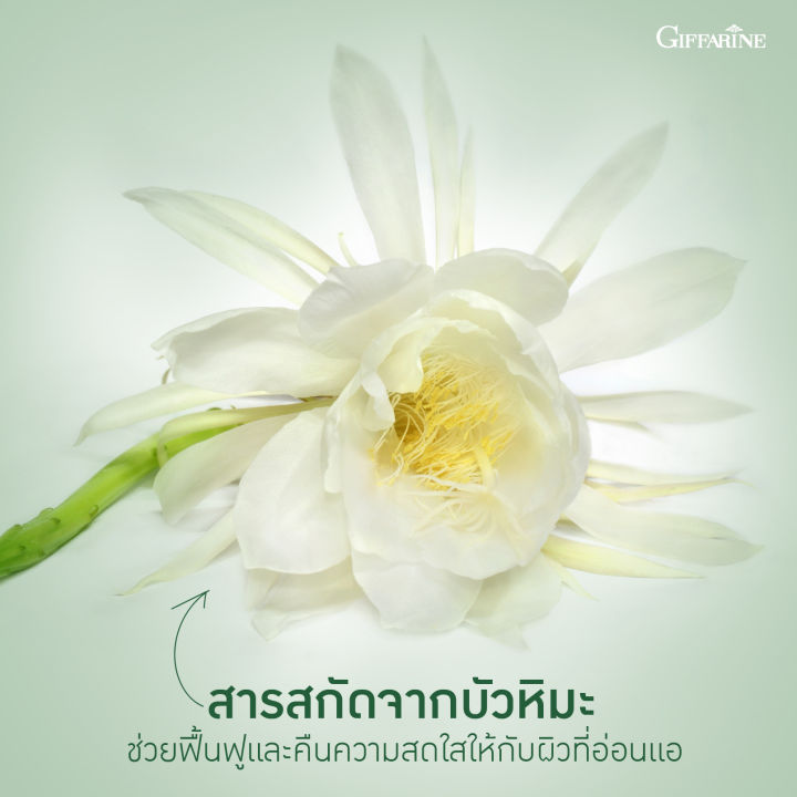 snow-lotus-aloe-body-gel-เจลว่านหางจระเข้-และสารสกัดบัวหิมะ-บำรุงผิวกาย