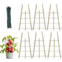 Bamboo Plant Support Trellis Square Natural Mini Bamboo Trellis Plant Climbing Rack Bamboo Ladder Trellis With Twist Ties