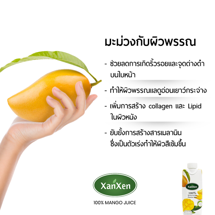 xanxen-น้ำมะม่วง-100-2-ลัง-แถมฟรี-mini-set-4-กล่อง-1-set