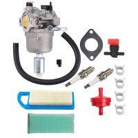 Carburetor Carb Kit for Briggs &amp; Stratton 13.5HP 591731 796109 590400 796078 794161 795477 31H777 Engine