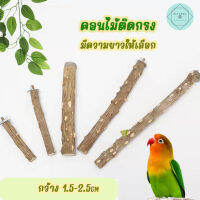 คอนยืนนก คอนไม้ คอนไม้ธรรมชาติ ลับเล็บนก ลับปากนก คอนไม้ Bird