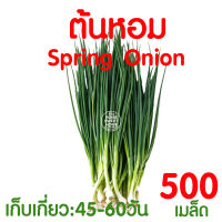 *ค่าส่งถูก* เมล็ดผัก เมล็ดผักสลัด (ต้นหอม 500 เมล็ด) เมล็ดพันธุ์ เมล็ดพันธุ์ผักสลัด งอกดี ปลูกผัก ผักสลัด  สลัด salad ไฮโดร hydroponic