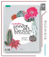 รวมพันธุ์ใหม่ แคคตัสและไม้อวบน้ำ Top Hit Cactus &amp; Succulents