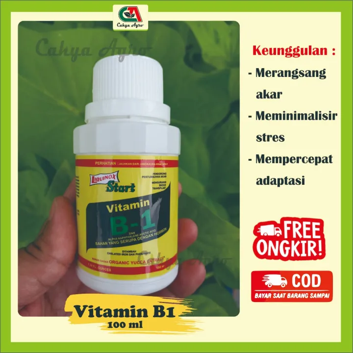 Vitamin B1 Liquinox Start 100 Ml Anti Stres Dan Perangsang Akar Tanaman ...