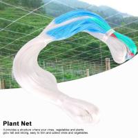 Trellis Netting Plants ปีนตาข่ายรองรับผักในครัวเรือนสุทธิ