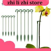 zhilizhi Store 5/10x 37cm 48cm Plastic Plant Supports Holder Bracket Flower Stand climbing Fixed Protection Tool Garden Supplies For orchid