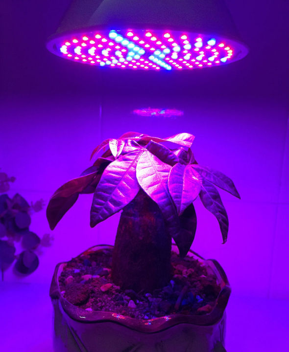 qkkqla-5pcs-126-leds-indoor-plant-grow-light-flower-veg-green-house-red-blue-for-hydroponic-system-growing-lights-bulb-greenhouse-a2