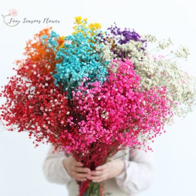 [AYIQ Flower Shop] ดอกไม้แห้งของจริงยิปโซ150กรัมสำหรับทารก39; S ลมหายใจสำหรับอุปกรณ์ตกแต่งสวนดอกไม้ประดิษฐ์เครื่องประดับโต๊ะแต่งงาน