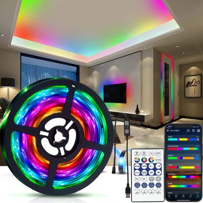 LED Strip Light RGBIC WS2812B SMD 5050 Bluetooth Remote Rainbow Chasing Effect Flexible Diode Tape 20M TV BackLight Room Decor