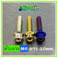 น็อตสแตนเลส หัวเจาะดอกไม้ ขนาดเกลียว m6 ยาว 30 mm.