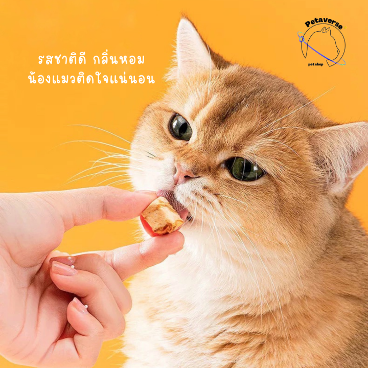 petaverse-petshop-ขนมฟรีซดราย-ขนมอบแห้ง-ทรงลูกเต๋า-สำหรับน้องแมว-หมา-มีให้เลือก-7-รสชาติ