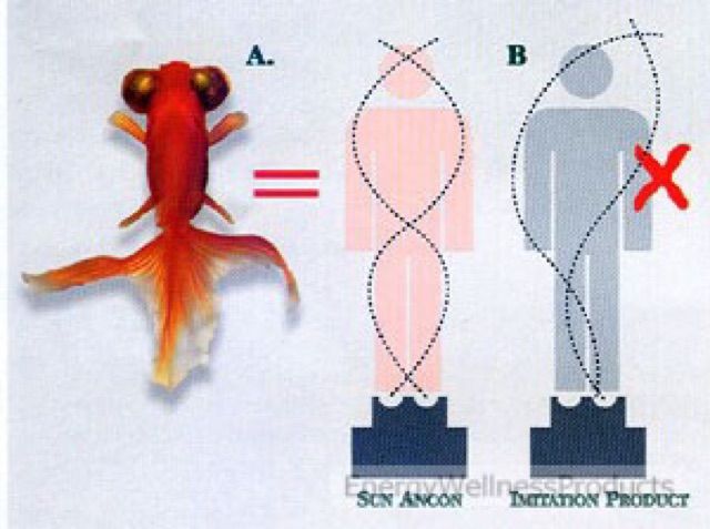 อุปกรณ์ฟิตเนส-เครื่องส่าย-ท่า-ปลาทองว่ายน้ำ-กระชับสัดส่วน-หุ่นดี